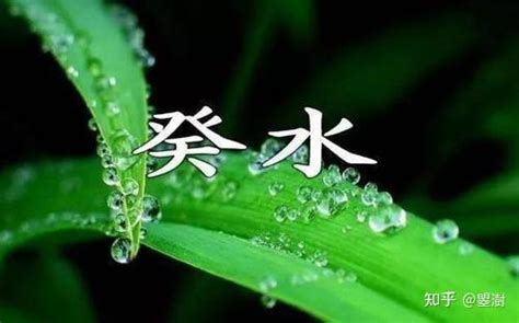 癸水是什么|解析十天干癸水 – 癸水喜用提要